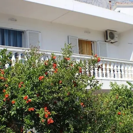 Apartment Zika *